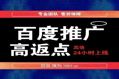 从小白到高手：百度竞价赚钱全记录