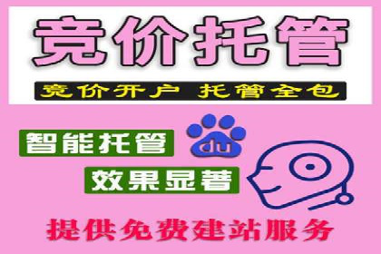 知乎信息流崛起：案例分析与其影响